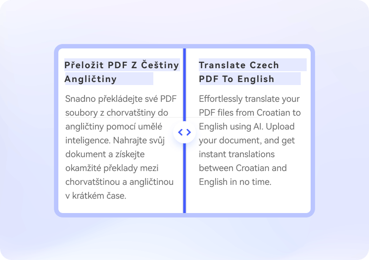 czech to english document translation