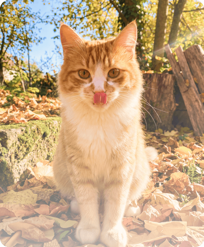 example of ai generated image